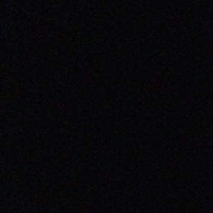 Meet your Posher, Landon